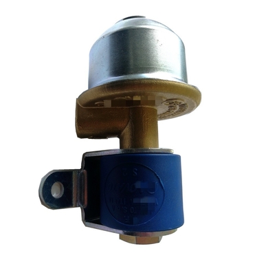 Φίλτρο καυσίμων φυσικού αερίου φίλτρων CNG LPG Autogas καναλιών μορφής Λ με τη βαλβίδα σωληνοειδών