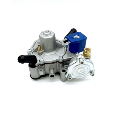 Χωρισμένος ρυθμιστής 125W πίεσης LPG αερίου και Autogas κυκλωμάτων νερού